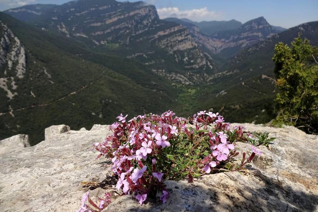 Pont De Valenti Mountain Retreat Daire Girona Dış mekan fotoğraf