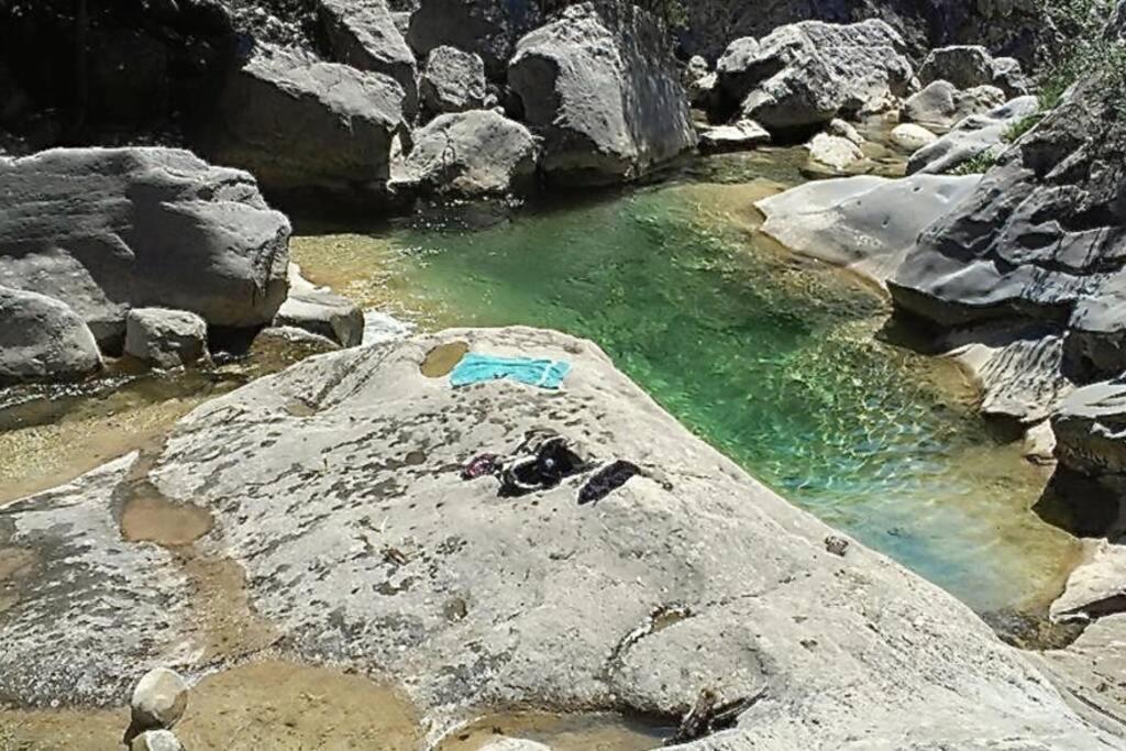 Pont De Valenti Mountain Retreat Daire Girona Dış mekan fotoğraf