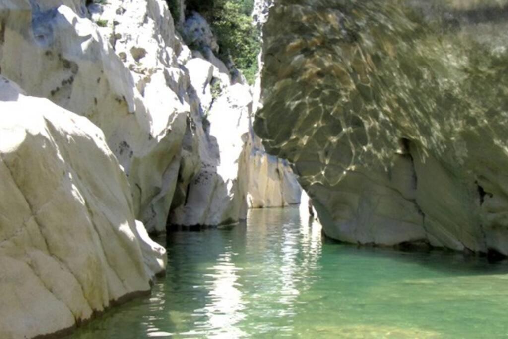 Pont De Valenti Mountain Retreat Daire Girona Dış mekan fotoğraf