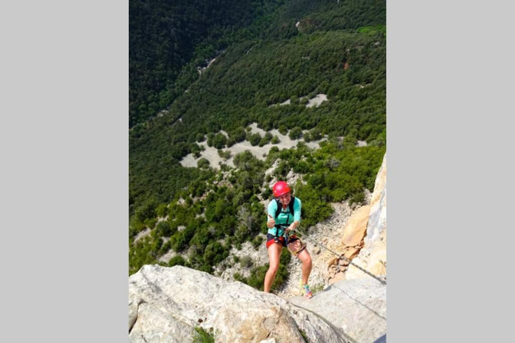 Pont De Valenti Mountain Retreat Daire Girona Dış mekan fotoğraf