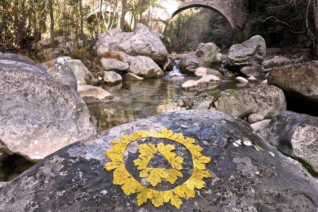 Pont De Valenti Mountain Retreat Daire Girona Dış mekan fotoğraf