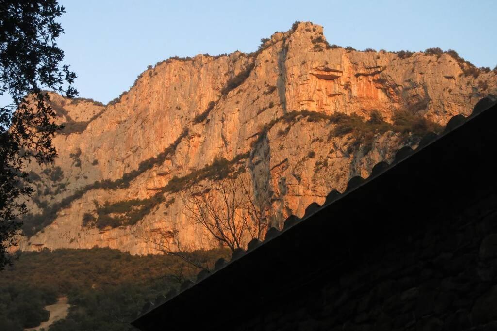 Pont De Valenti Mountain Retreat Daire Girona Dış mekan fotoğraf