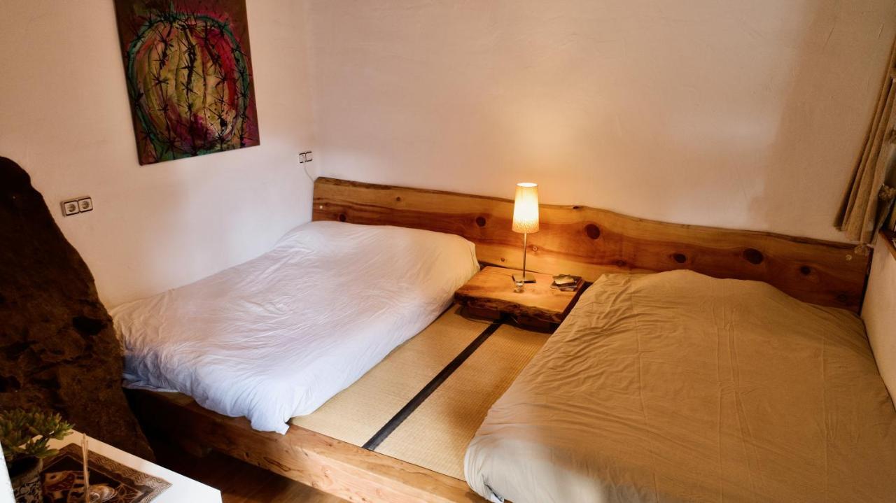 Pont De Valenti Mountain Retreat Daire Girona Dış mekan fotoğraf